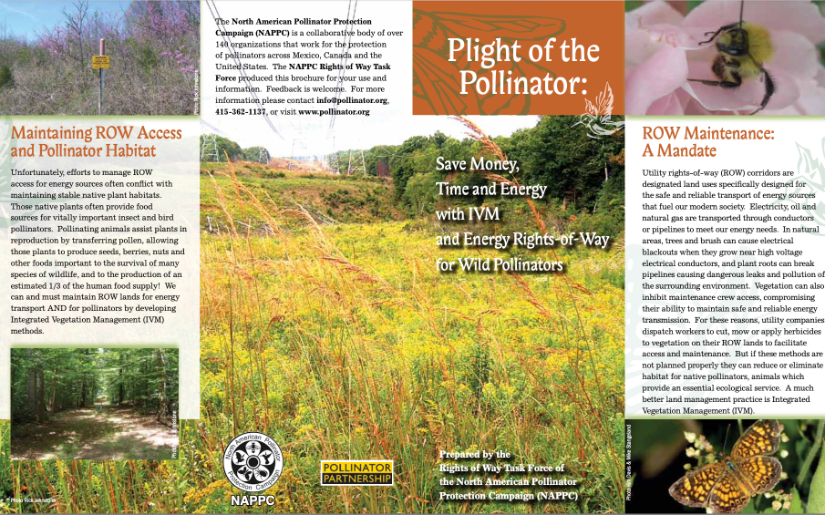NAPPC Plight of the Pollinator Brochure